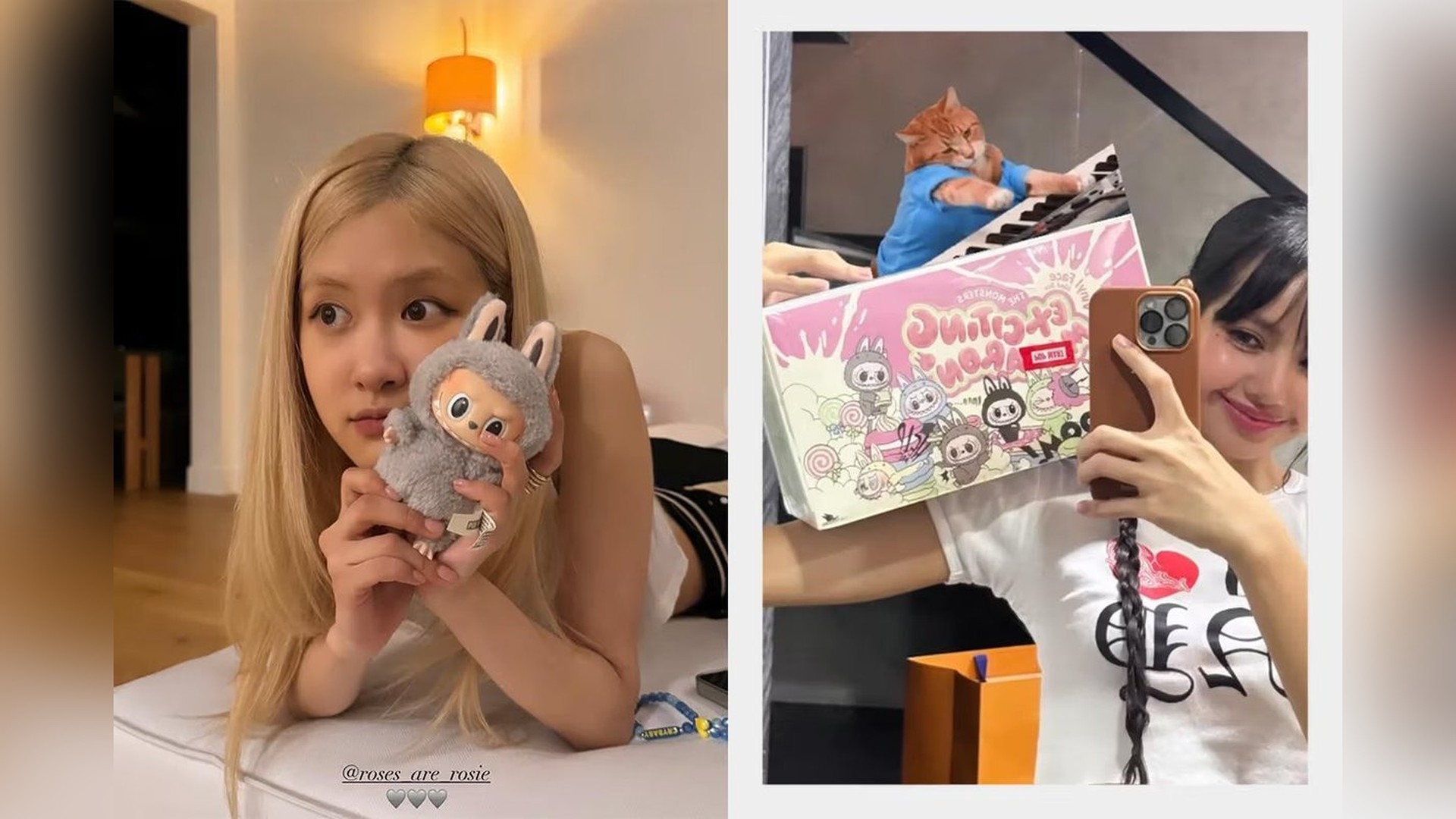 Labubu উন্মাদনা! কেন এই Monster-এর টানে ফুঁসছে তরুণ প্রজন্ম?