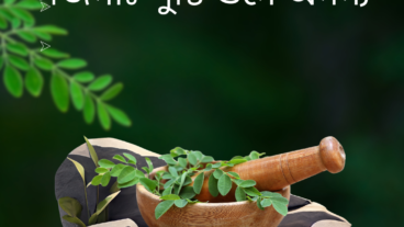 সজনা – পুষ্টি গুনে অনন্য