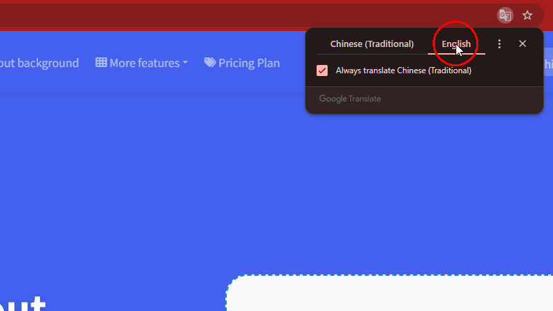 টিউন অগমেন্টেশন গাইডলাইন