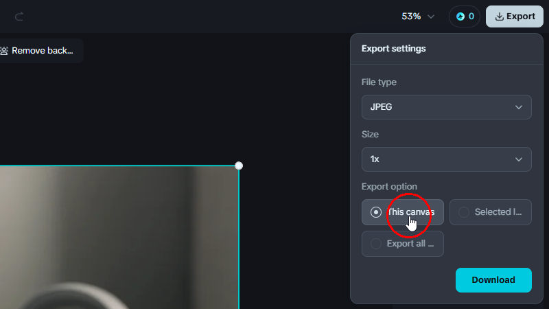 টিউন অগমেন্টেশন - Image Expand গাইডলাইন