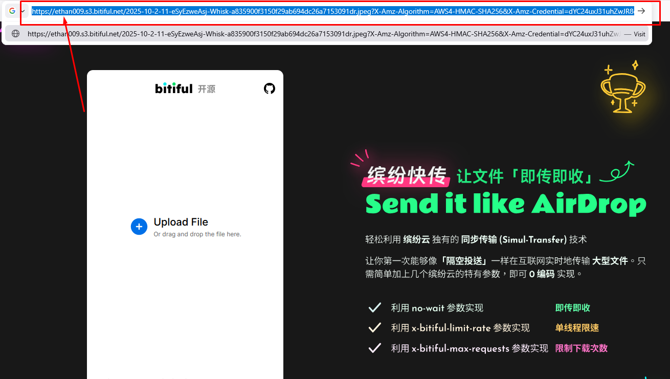 Link টি Open করে সরাসরি File Download