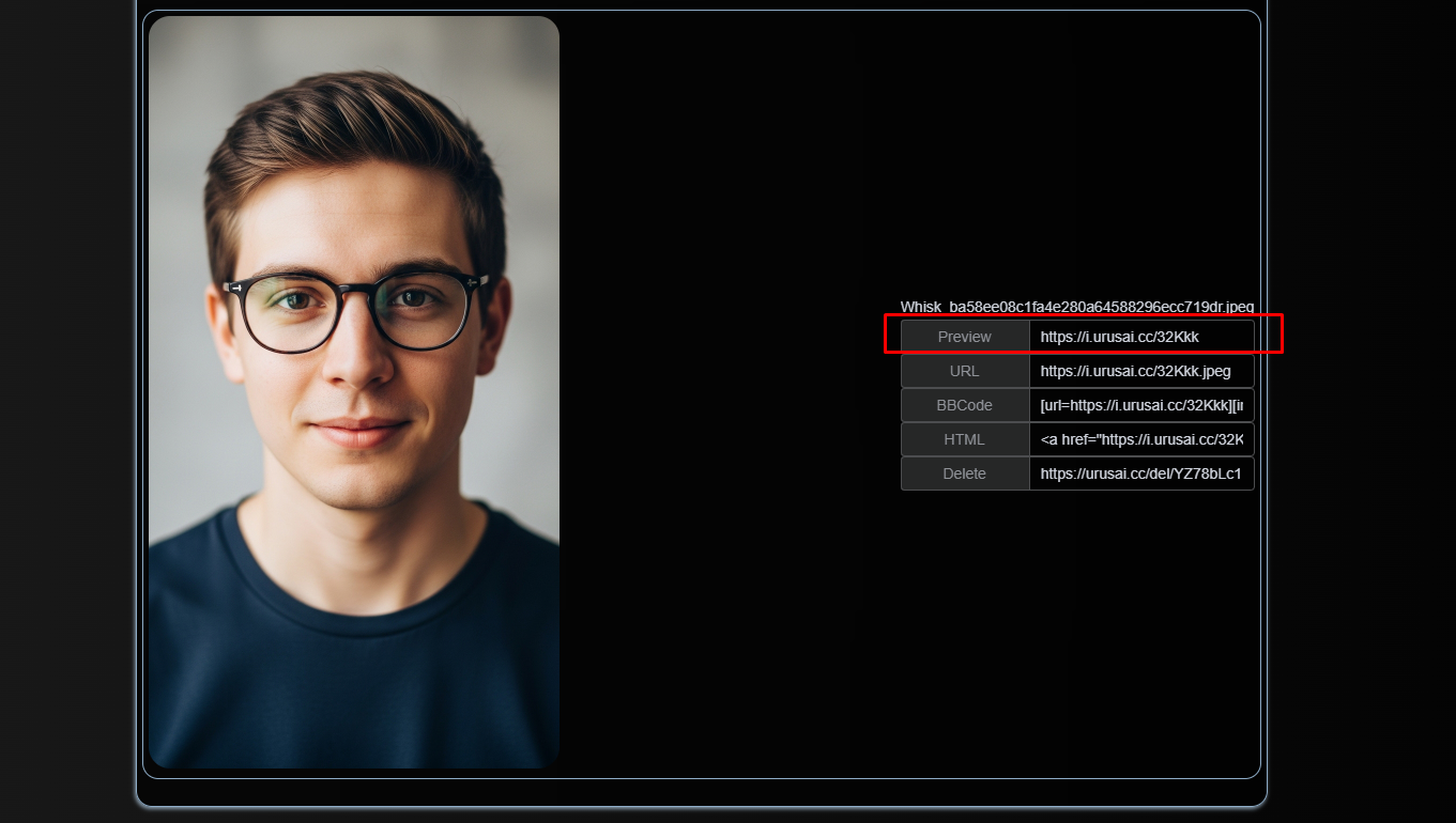 PICTURE preview link, 