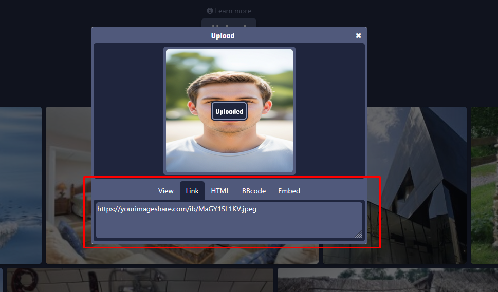 LINK টি কপি