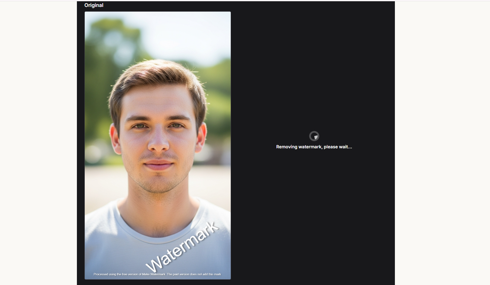 WatermarkZero Automatic ভাবে Processing