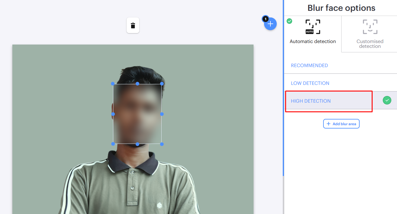 blur High Detection Level Option
