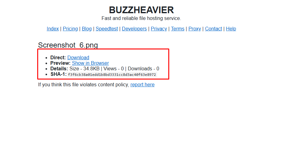 Buzzheavier-এর Download Page