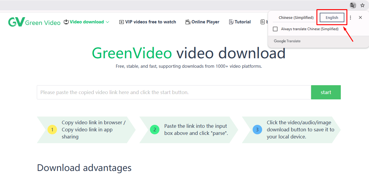 GreenVideo Website