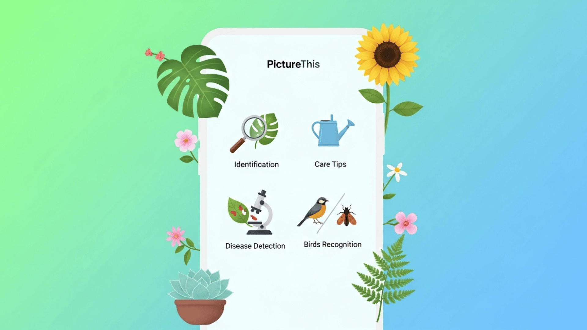 PictureThis App-এ কী কী Feature আছে?