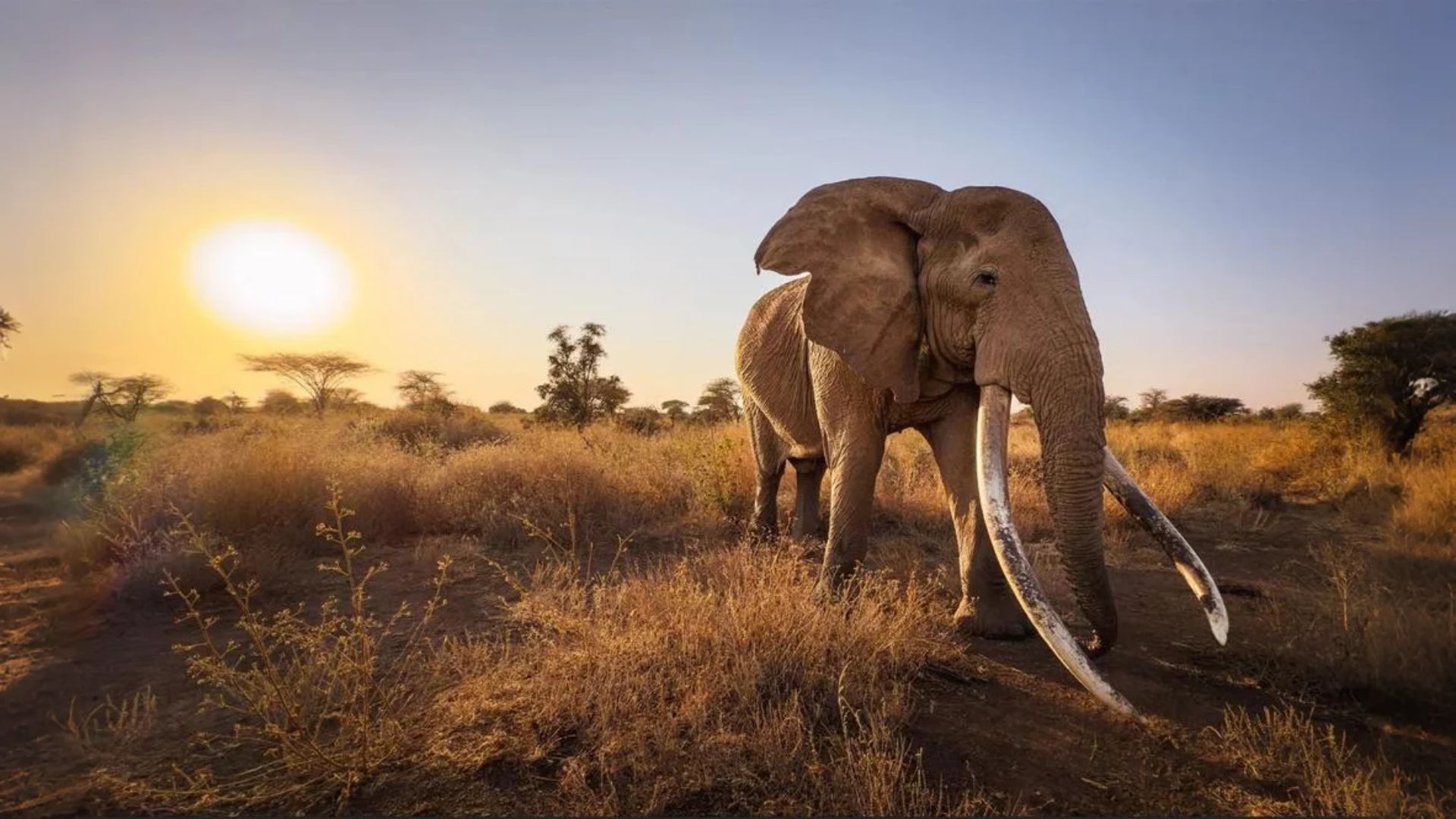 OnePlus 15 নাকি OnePlus 13? ক্যামেরা যুদ্ধে চ্যাম্পিয়ন কে? খুঁজে বের করুন আপনার সেরা পছন্দ!