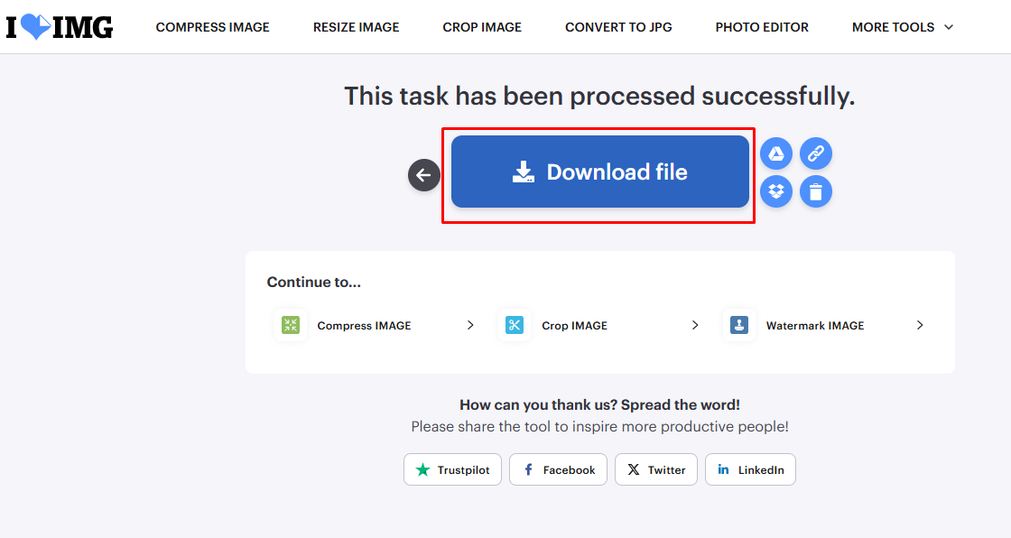 Blur Face Download button