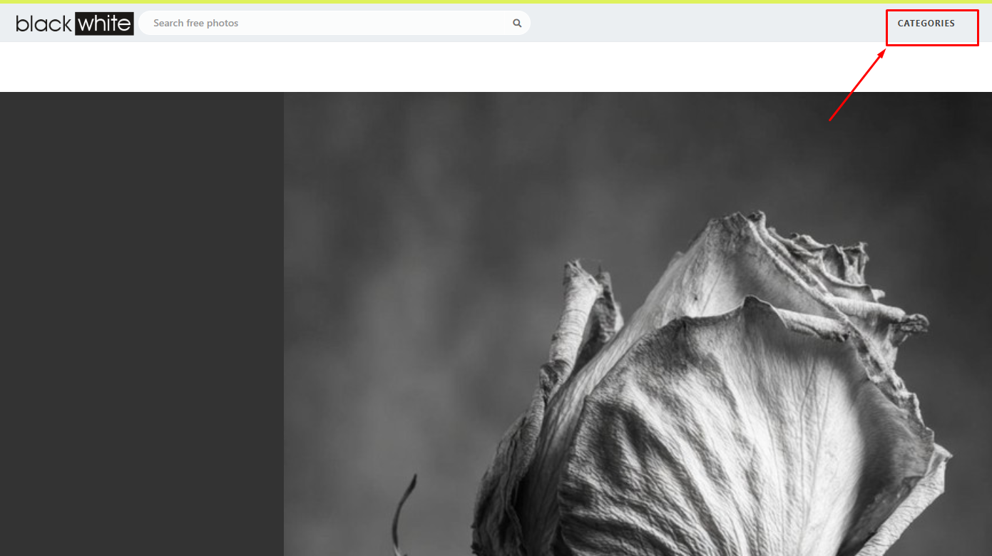 Category অপশন খুঁজে বের