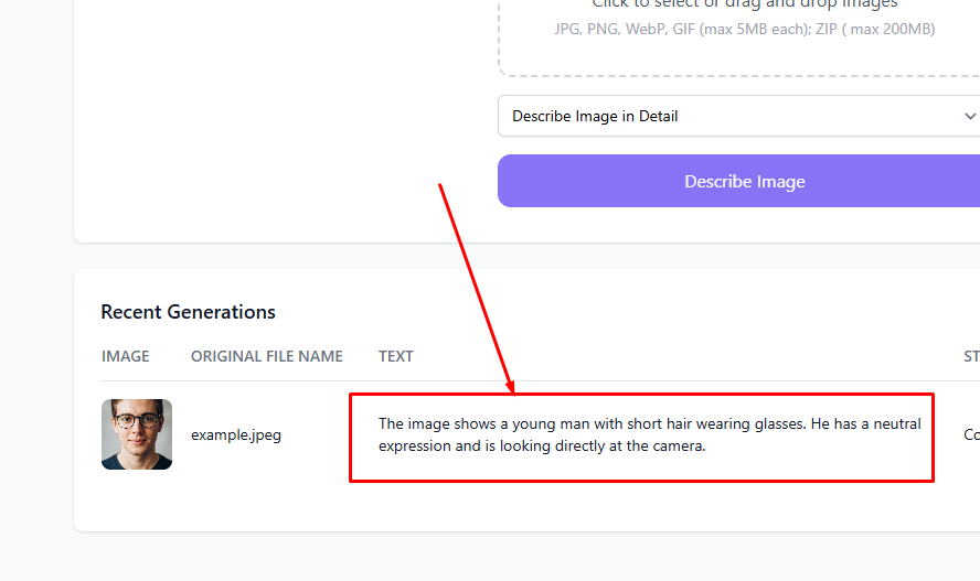 Describe Image in Detai