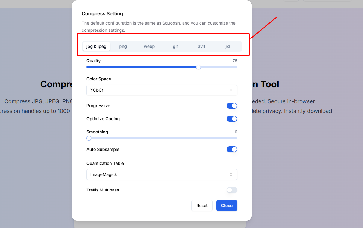 Picture এর Format পরিবর্তন করার Option