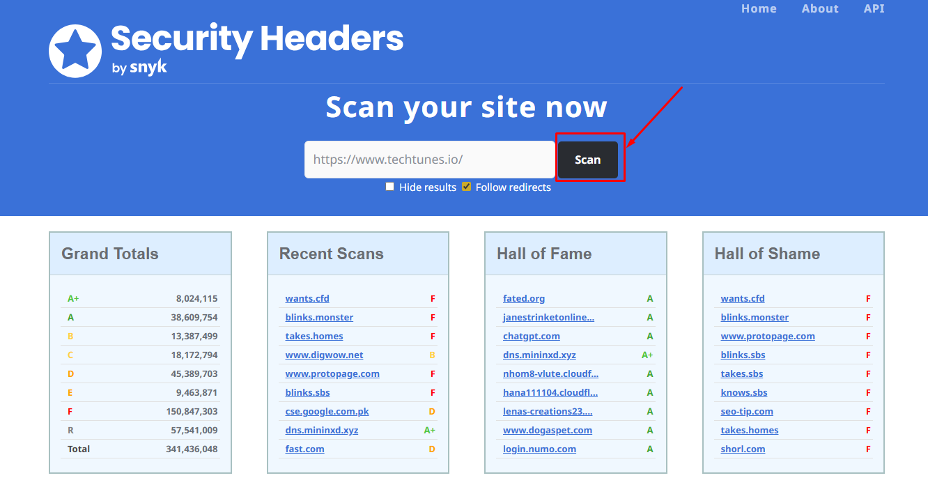 Website Scan করা
