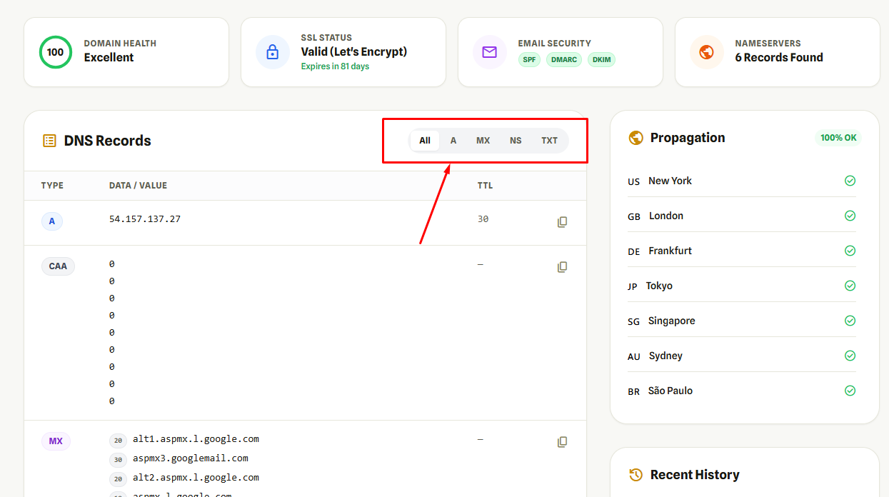 DNS Record Type সিলেক্ট
