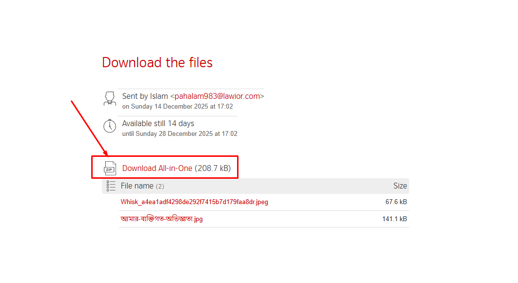 Recipient Download Page