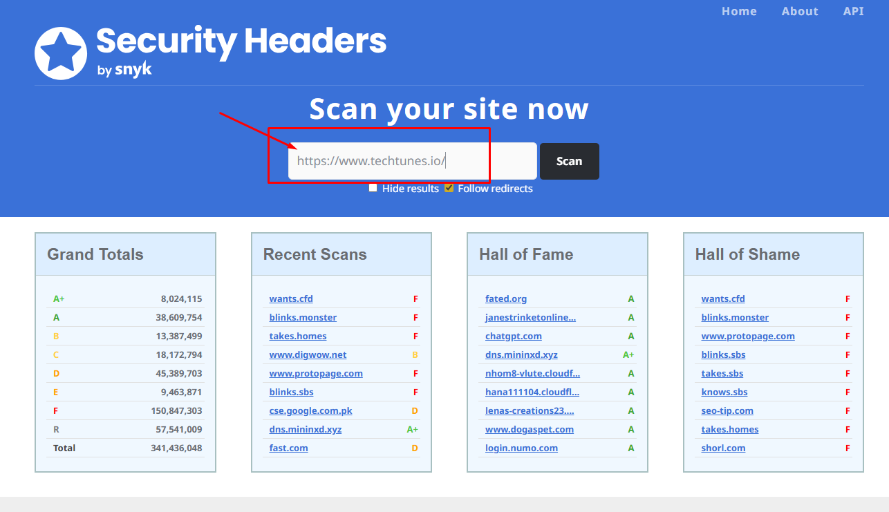 Website এর URL Type