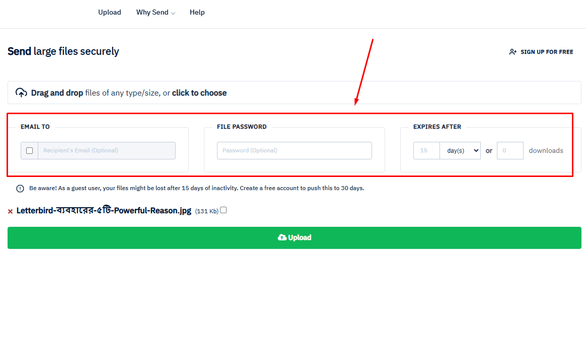 File Upload option set