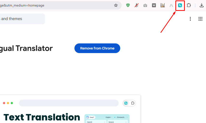 extension-এর Icon-এ Click