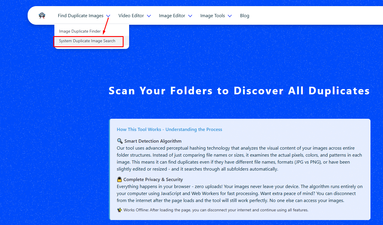 System Duplicate Image Search