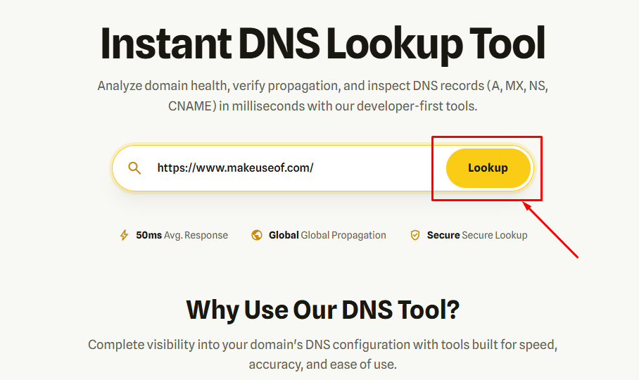 Domain Name লিখুন এবং Lookup করুন