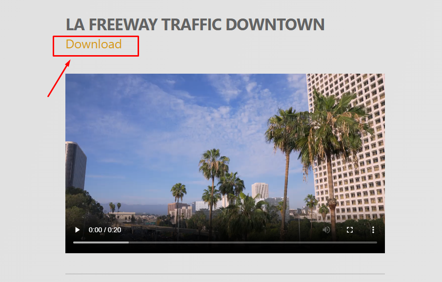 Video Download