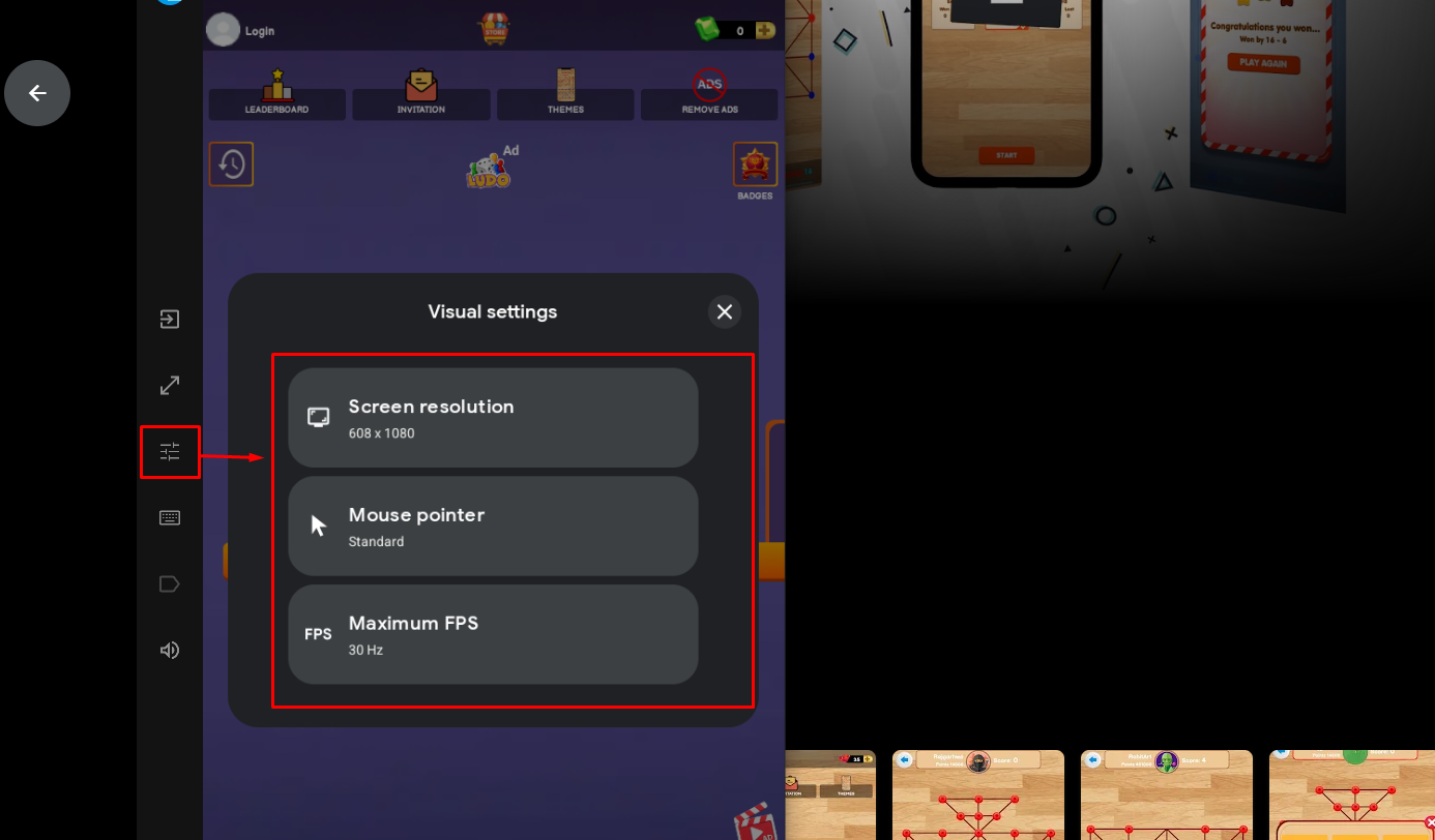 Visual Settings Option