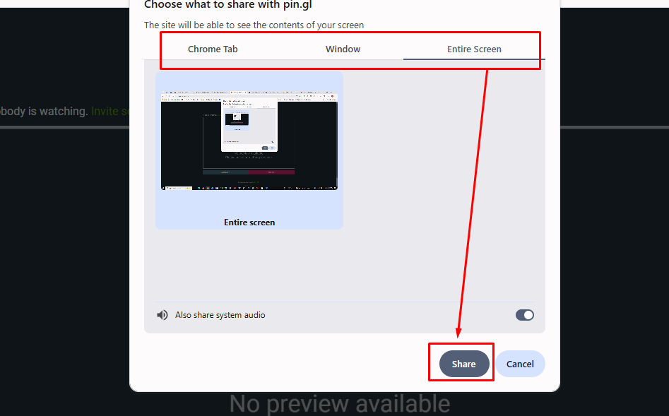 screen share Option Select
