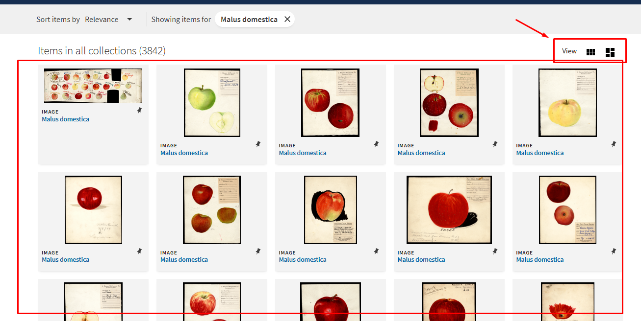সারি সারি ছবি