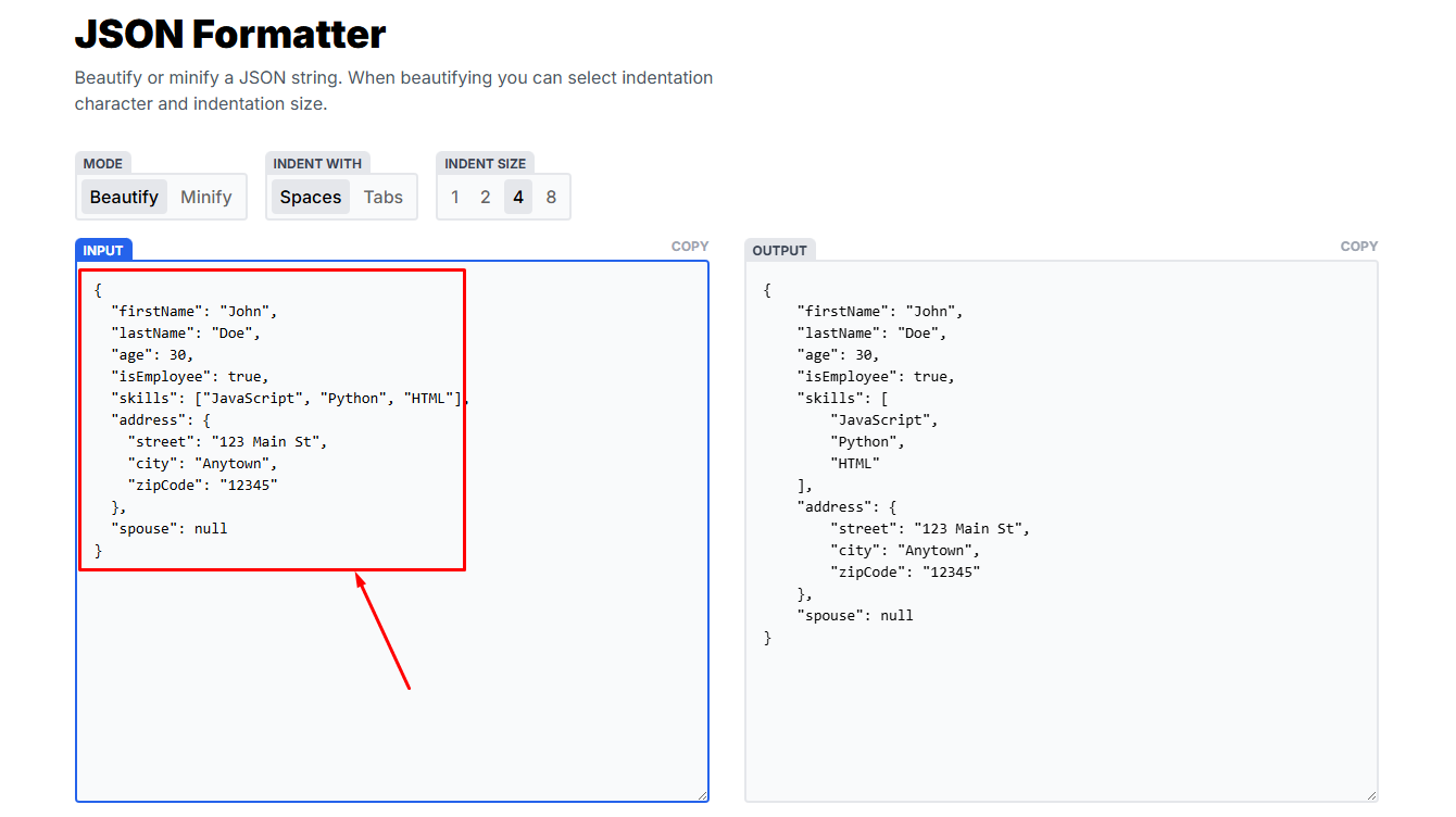 JSON Data টি Input Box এ Paste
