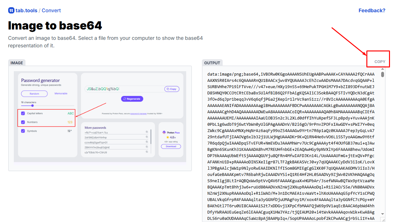 Base64 Code টি Copy