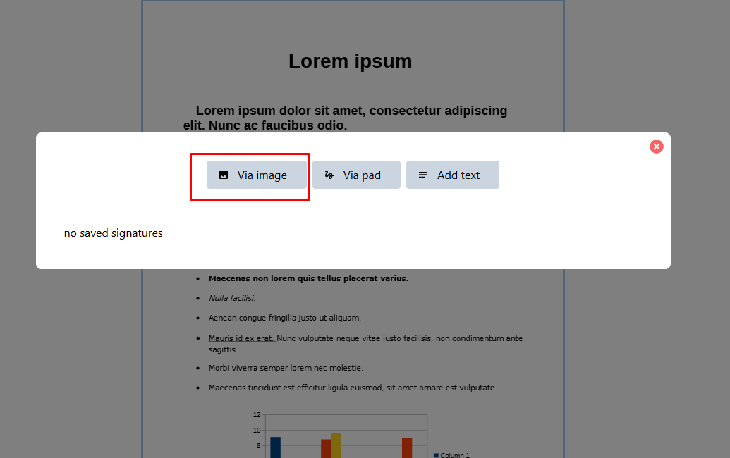 Signature Image Upload