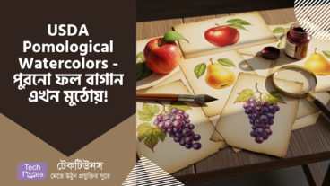 USDA Pomological Watercolors – পুরনো দিনের ফলের বাগান, এখন আপনার হাতের মুঠোয়! 7, 500+ ওয়াটারকালার ছবি একদম ফ্রি! 🕰️🎨