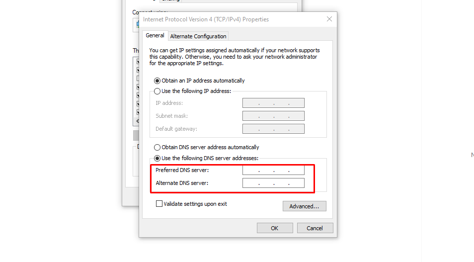 Preferred DNS server এবং Alternate DNS server