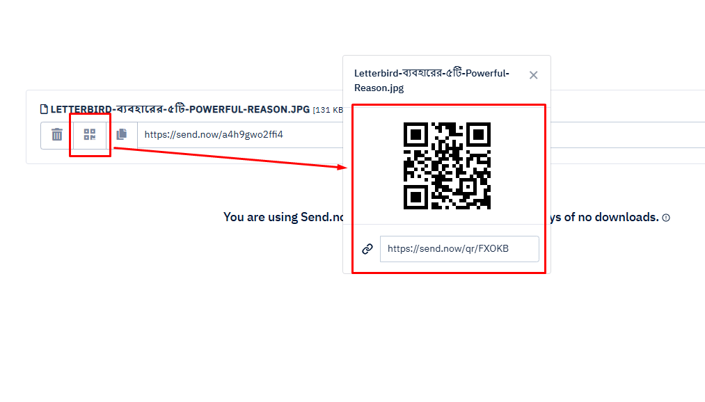 QR Code Generate করার Option