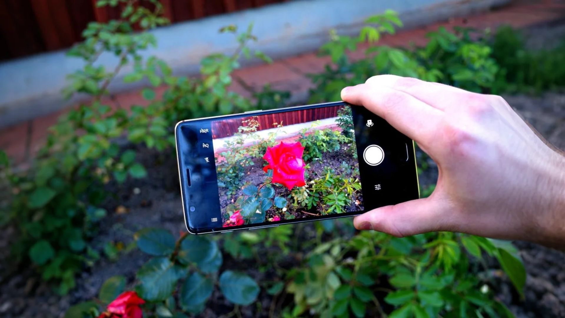 Display এবং Camera: কমপ্যাক্ট ডিজাইনে দুর্দান্ত ভিজ্যুয়াল