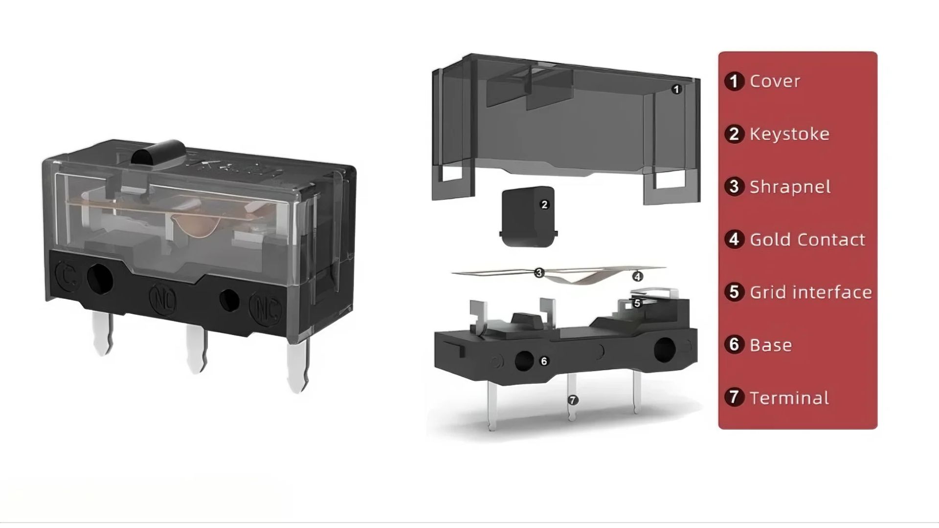 সমালোচনা ও বাস্তব প্রেক্ষাপট