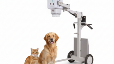 Veterinary X-ray  পশু চিকিৎসায় নিখুঁত ডায়াগনসিসের আধুনিক সমাধান