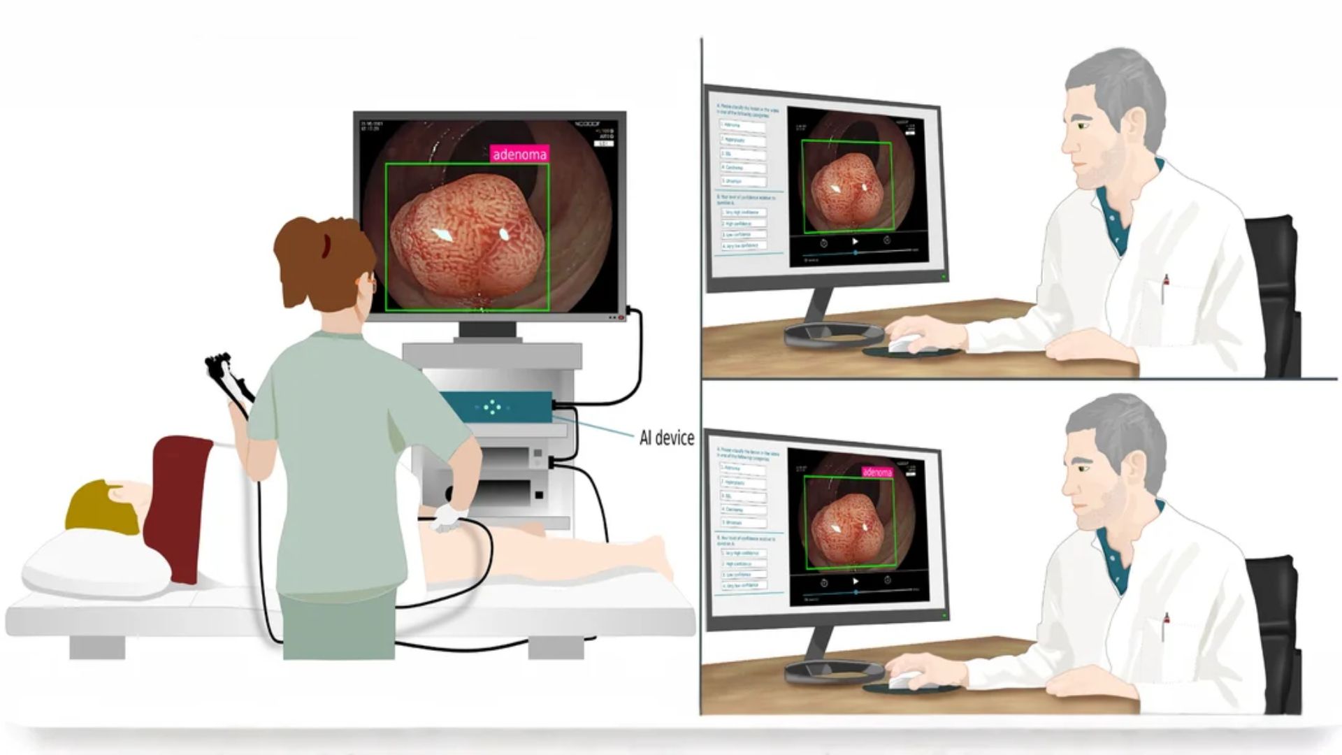 সুরক্ষা ও নির্ভুলতা