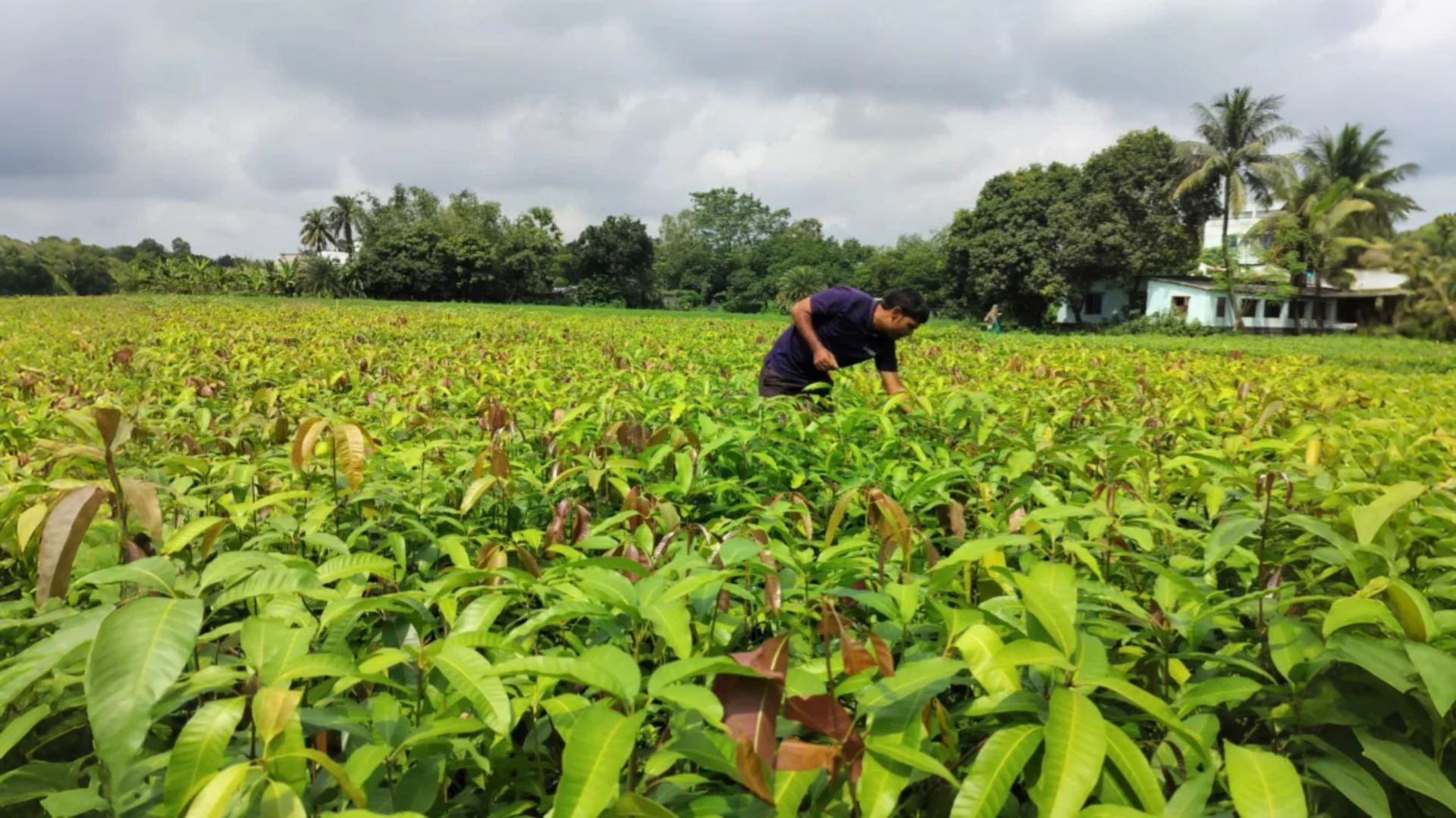 কেন India এবং Global South-ই পরবর্তী গন্তব্য?