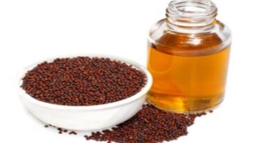 ঘানিতে ভাঙা সরিষার তেল: খাঁটি স্বাদ ও সুস্বাস্থ্যের পূর্ণ নিশ্চয়তা