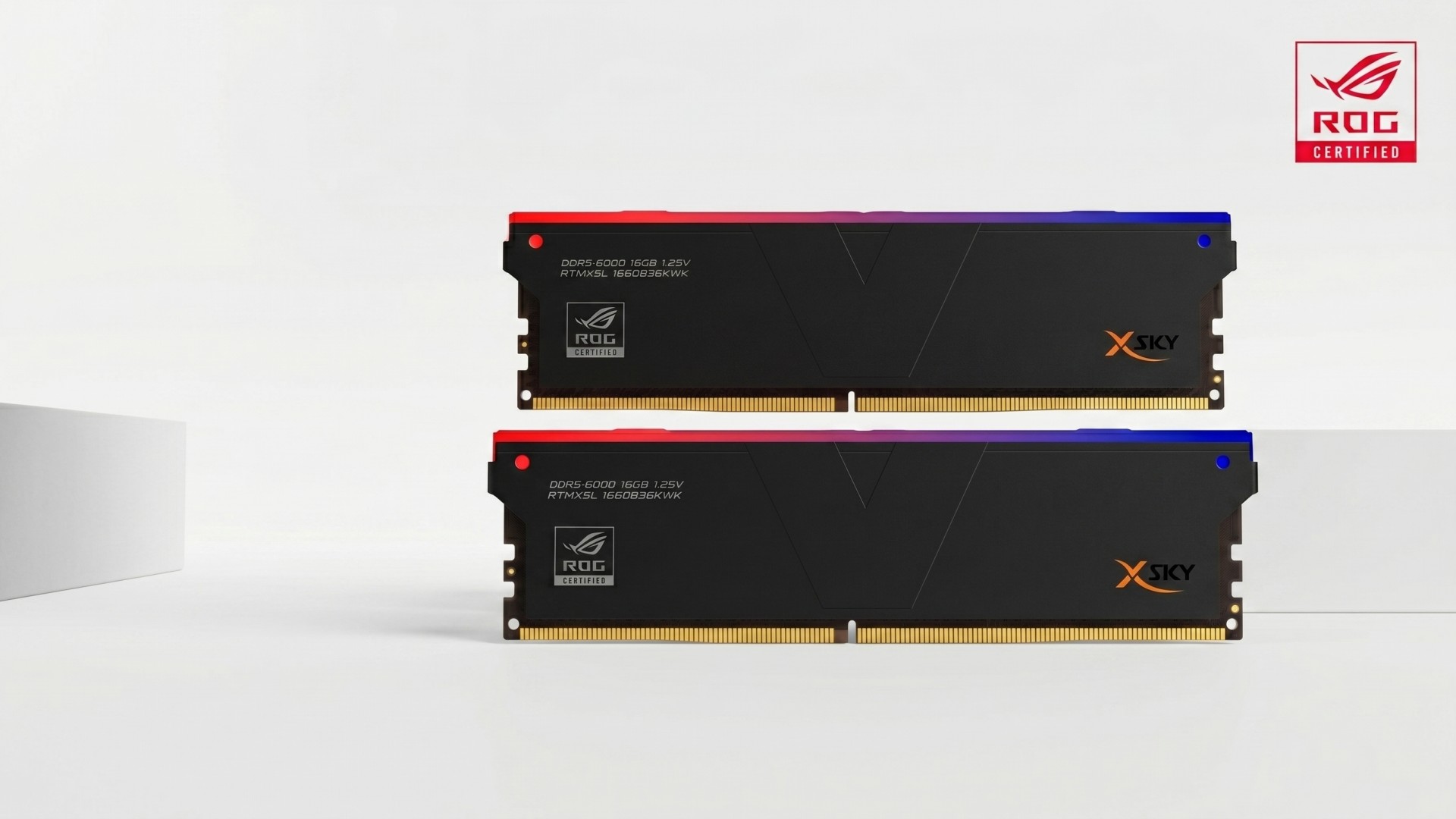 ASUS ROG অবশেষে সরাসরি Desktop Memory Market এ পা রাখলো! 48GB Capacity, DDR5 6000 Speed আর মাথা নষ্ট করা CL26 Timings সমৃদ্ধ এই Memory Kit টি Hardware দুনিয়ায় এক সুনামি!