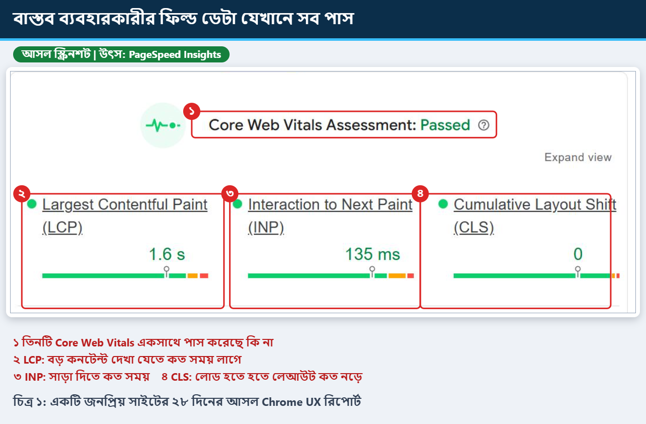 PageSpeed Insights রিপোর্টে Core Web Vitals পাস করা অবস্থায় LCP, INP ও CLS চিহ্নিত করা আসল স্ক্রিনশট