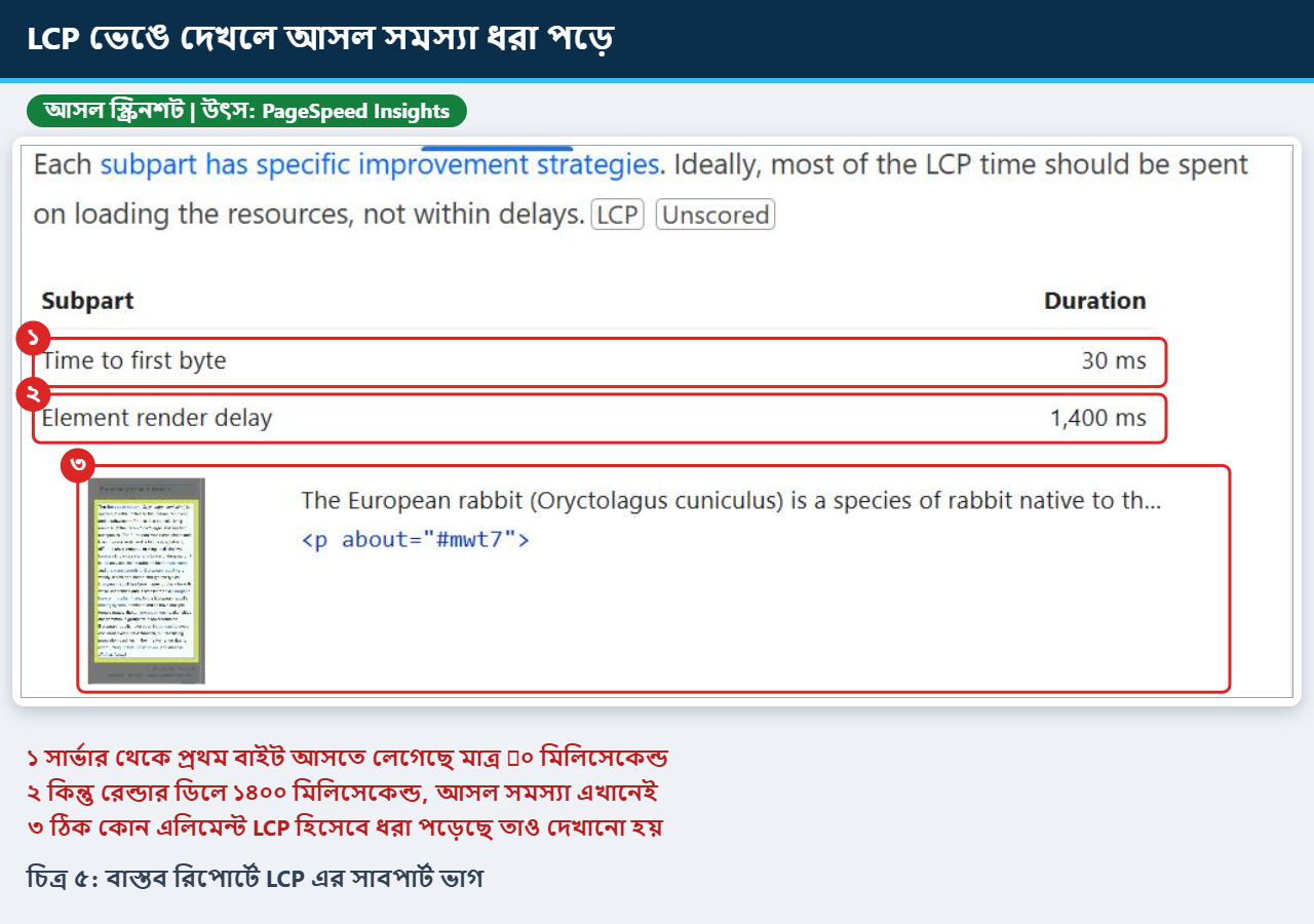 বাস্তব রিপোর্টে LCP এর সাবপার্ট হিসেবে সার্ভারের সময় ও রেন্ডার ডিলে এবং LCP এলিমেন্ট চিহ্নিত করা আসল স্ক্রিনশট