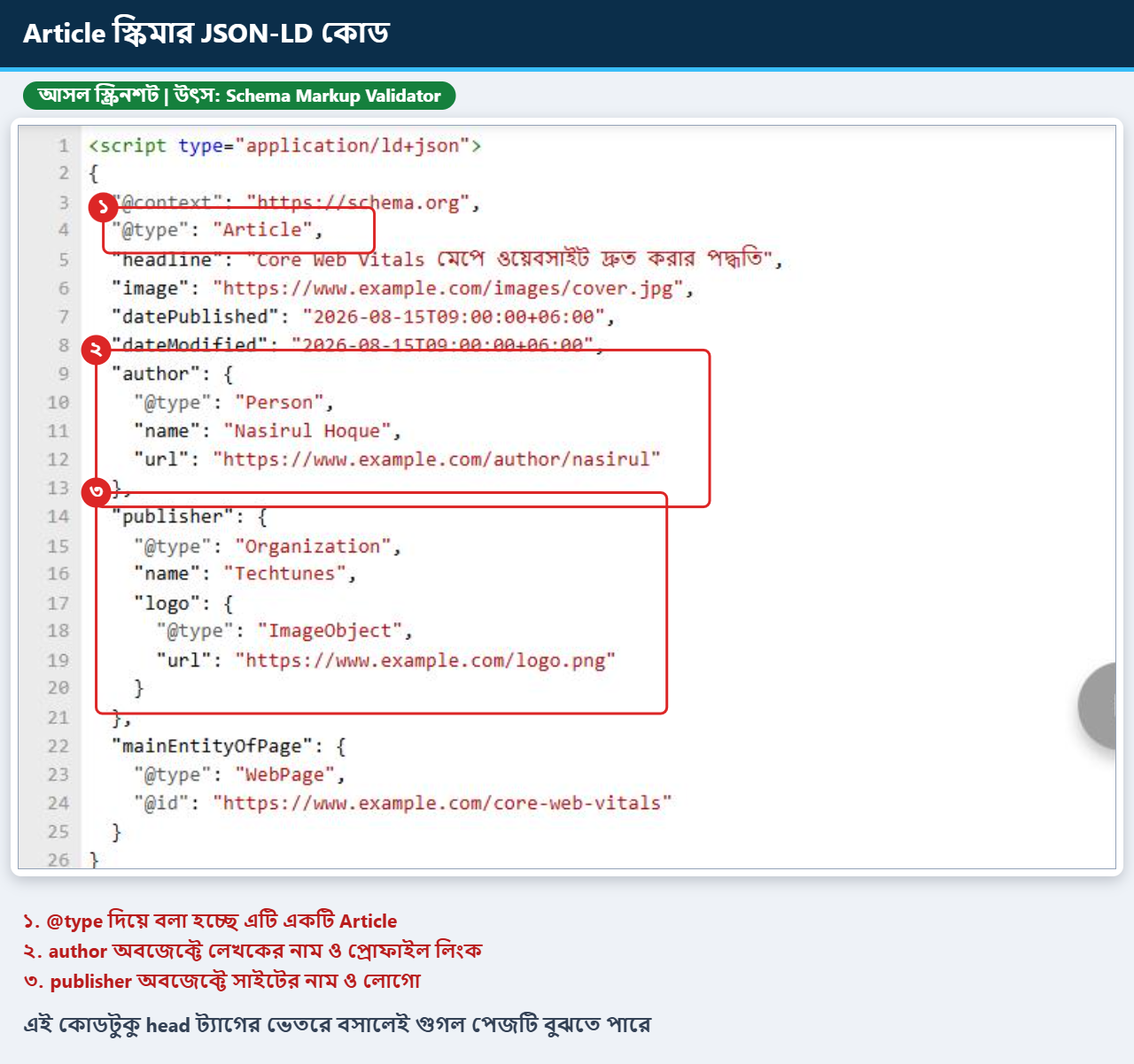 Schema Markup Validator এর এডিটরে Article স্কিমার JSON-LD কোড, type, author ও publisher অংশ চিহ্নিত করা আসল স্ক্রিনশট