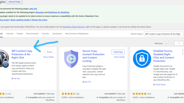 wordpress plugin