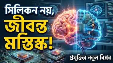 কৃত্রিম বুদ্ধিমত্তার বিদ্যুৎ-তৃষ্ণা মেটাতে কম্পিউটারে যুক্ত হচ্ছে ‘জীবন্ত মানব মস্তিষ্ক’!
