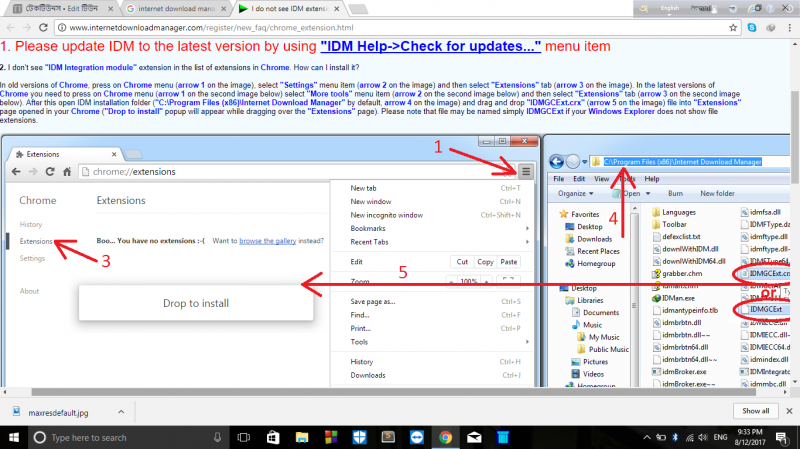 Internet Download Manager