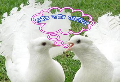 ISO ফাইল রাইট (CD,DVD) করুন খুব সহজ