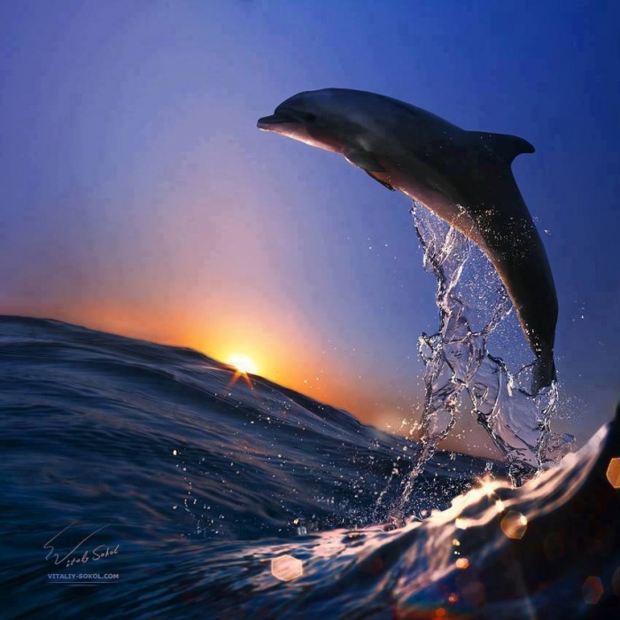 সম্পুর্ন রিস্ক ফ্রি ফরেক্স শিখুন, নিউজ ট্রেড শিখুন